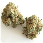 Шишки "White Widow"  (Белая вдова)  Гидропоника -  Бошка VHQ в Кирсанове